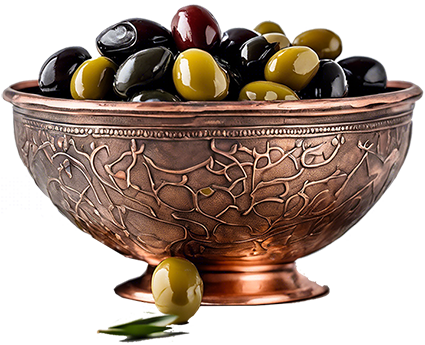 خرید-فروش-عمده-زیتون-و-روغن-زیتون-فروشگاه-مهسا-استور-(1)